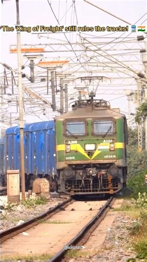 The Freight King! 🦁🚆 | WAG-9 9,000 HP Heavy Action #Shorts #indianrailways