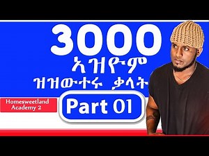 እንግሊዝኛ ብትግርኛ 30 of 3000 Common English words in Tigrigna | Part 1