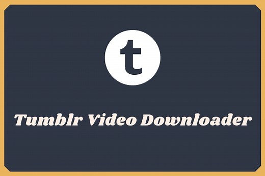 Top 6 Best Tumblr Video Downloaders - MiniTool MovieMaker