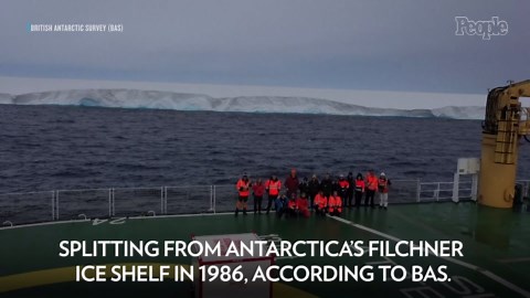 World's Largest Iceberg, Weighing Nearly 1 Trillion Tons, Runs Aground Near Sub-Antarctic Island