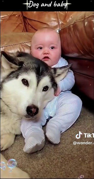 Dog and baby#emotional #dog #baby #foryou #viral