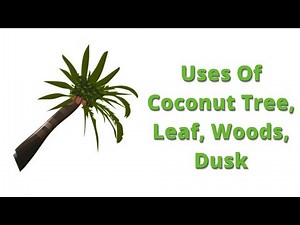 Coconut Tree Uses || Coconut Leaf Uses || Healthypedia