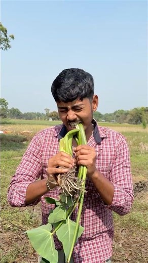 Drawing খাবার bangla mini vlog #foodchallenge