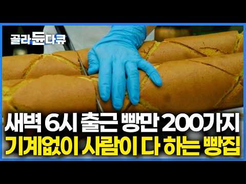 사람 손이 기계보다 빠르다는 200종류 수제 빵집의 경이로운 제조 과정｜극한직업｜#골라듄다큐