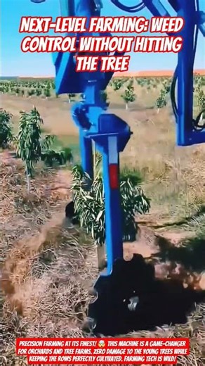 ​Next-Level Farming: Weed Control Without Hitting the Tree