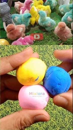 ✨ Matching Every Chicken Color with Clay! 🌈🐥 | Rainbow Chicken