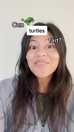 Can turtles fart? Dr Shawna Foo uncovers the gassy truth 🐢💨 this question comes from Bomaderry High School as part of our partnership with the NSW DPE for Science Week #science #scienceweek #turtles #farts #research #usyd #uni #learnontiktok
