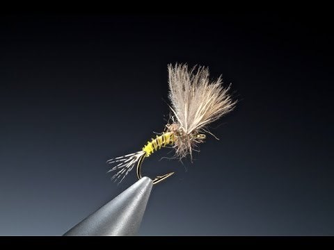 Tying the CDC & Deer Hair Emerger with Barry Ord Clarke