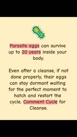 12K views · 72 reactions | Parasite eggs can survive up to 20 years inside your body. Comment Cycle to learn How to cleanse Parasitic infections properly #parasites #parasitecleanse #parasitedetox #detoxyourbody #parasitesymptoms | Detox Naturally | Facebook