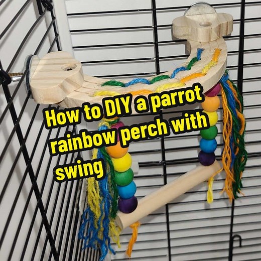DIY Parrot Rainbow Perch with Swing Tutorial