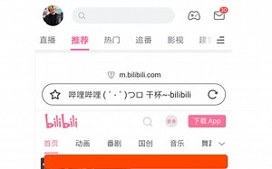 震惊！在bilibili手机APP打开bilibili网页端，真正在B站看B站！