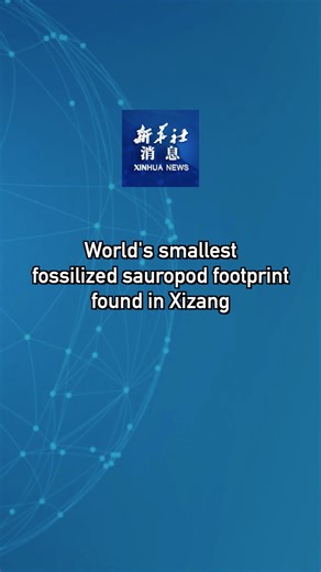 7.4K views · 78 reactions | Chinese scientists on Friday announced their discovery of two dinosaur track sites in southwest China's Xizang Autonomous Region, including one containing the world's smallest fossilized sauropod footprint, which dates back over 166 million years. #XinhuaNews | China Xinhua News | Facebook
