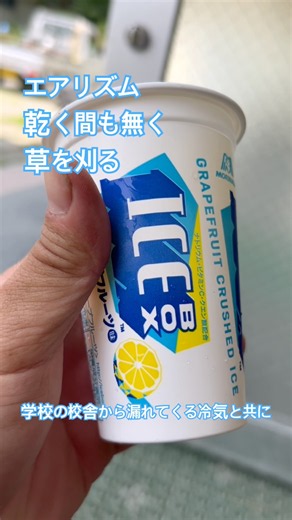 夏の一呼吸。ICEBOX #草刈り#造園#ツリークライミング#ツリーワーク#1人草わかる