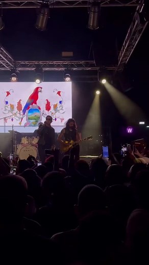 Cairokee’s empire still growing and going strong. 🎸🎸 #cairokee #cairokeeempire #كايروكي #amireid #امير_عيد 🎥: Ahmed Medhat