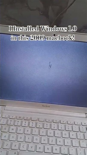 I installed Windows 1.0