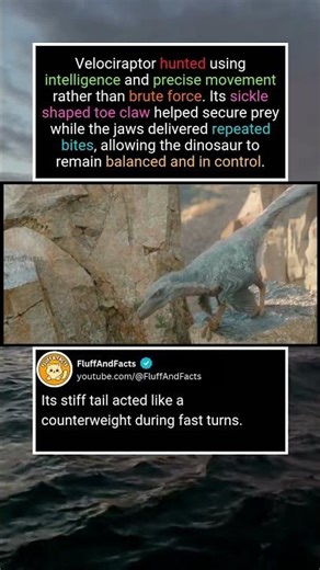 How Velociraptor Hunted