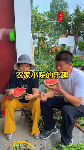 夏日的小院，滿滿的新鮮#種菜#田園生活 | 半隱田園