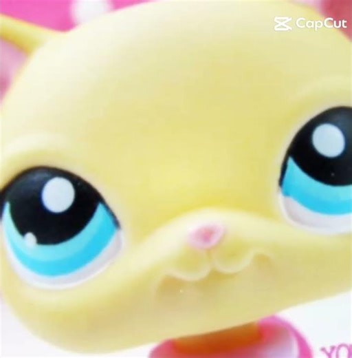 BROOK HAYES INCOMING🐾😺 #lpspopular #cute #notmine