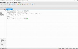 Django4.0源码分析-1.2 Django的测试和调试环境搭建