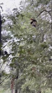 944K views · 10K reactions | Iron Creek on Reels | Facebook