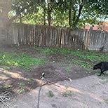 4-Pack Orbit 58573N H2O-6 Gear Drive Sprinkler