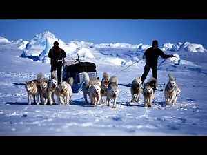 EXPEDITION SIRIUS 2000