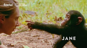 Death defying human feats, riots felt across the world, a young Jane Goodall challenging the science community, new genders and world leaders in conflict - this is National Geographic Features. National Geographic Features | Sundays 7:30pm AEST | National Geographic Australia | Foxtel