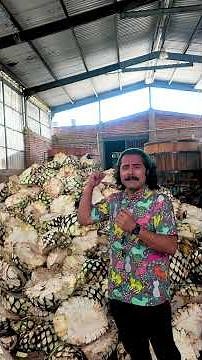 All about Agave
