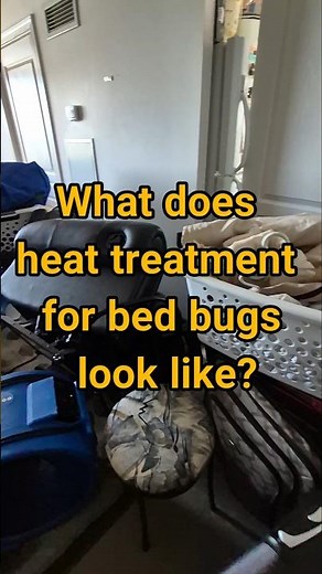 What Does Bed Bug Heat Treatment Look Like? Step-by-Step Professional Process.