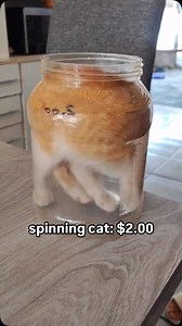 198K views · 5.4K reactions | I got him at the flea market for $2 | Soft Cat Memes | Facebook