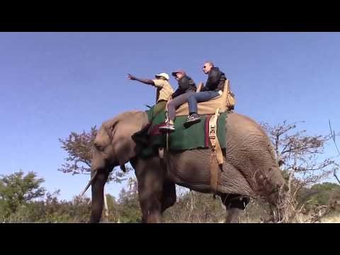 July 2017 - African Safari Elephant Ride