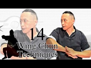 Wing Chun Training: 14 Techniques for Real Combat