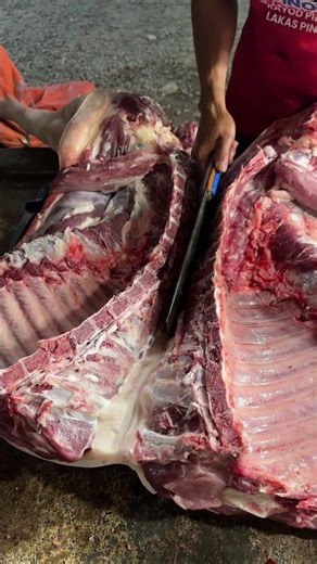 Splitting a carcass