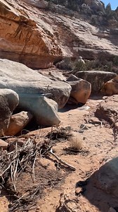 Solitude Field Expedition enjoying the beauty and human history of Grand Gulch! | Verde Valley School