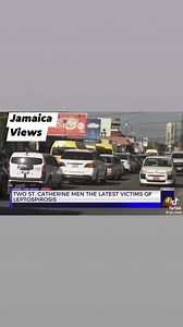 Please be careful…things are getting serious with this leptospirosis thing Create your own views of this situation Follow Jamaica Views and stay Informed and Entertained #jamaicaviews #Leptospirosis #facts #news #sadstory | Jamaica Views