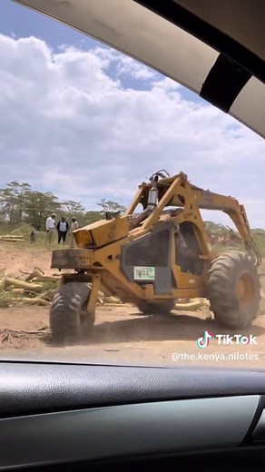 The Loss of Acacia Trees in Delamere