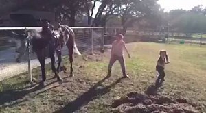 When a horse has better dance moves than you. Via @AnimalLovers. | Animals Being Awesome