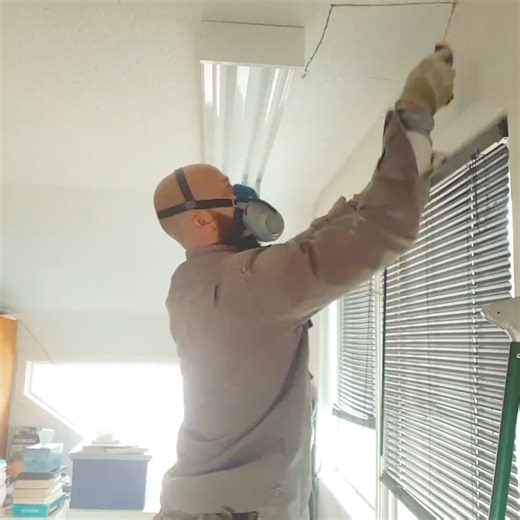 Archives 😉 | Ace Humane Wildlife Removal & Pest Control