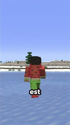 Which country doesn't exist on this Minecraft server?