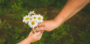 From an evolutionary perspective, does it make any sense to be nice?