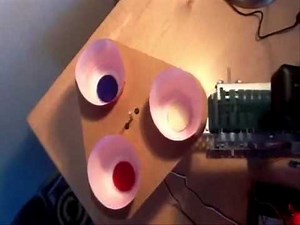 Automatic Poker Chip Sorter