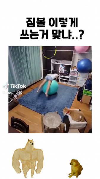 짐볼 이렇게 쓰는거 맞냐...? #짐볼 #운동 #유머 #추천 #추천떠라 #추천추천추천추천추천추천추천추천추천추천
