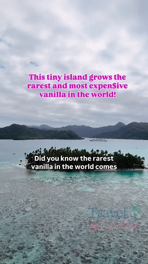 The rarest vanilla in the world comes from Taha’a, a tiny island in French Polynesia where I was lucky enough to visit a vanilla plantation and see this “black gold” in action. Did you know the vanilla plant is actually an orchid, and it takes 3 years to grow its first fruit? Each flower blooms for just a few hours, and there are no natural pollinators like bees, so farmers hand-pollinate every single one. One pod then takes almost a full year to mature! After harvesting, the beans are sun-dried