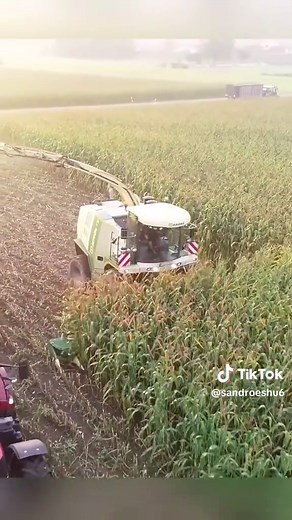 The Most Satisfying Crop Harvesting You'll Watch Today#HeavyMachines #AgriTech #HarvestTime #Nature #FYP