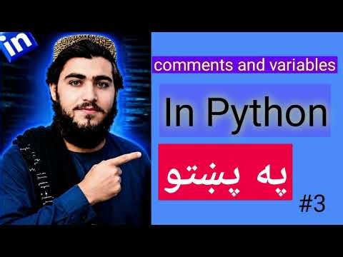 Python Comments and Variables Tutorial for Beginners | Python Course 2026 #3