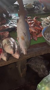 Fish Fry | Tathagata Hazra