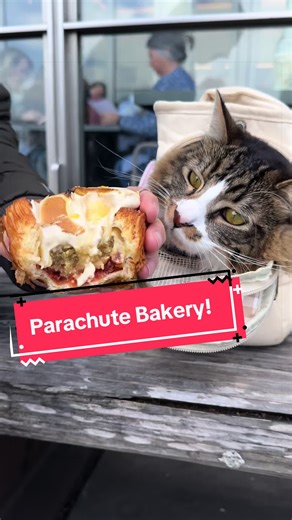 Henry finally made it out to Parachute! He’s here to report it is absolutely worth it! We only waited around ten minutes and there were still lots of pastries left when we came around 1PM. The drinks were also a standout and we’ll have to come back to try more of their delicious desserts! #sfbakery #ferrybuilding #sanfrancisco #embarcadero #sffoodie