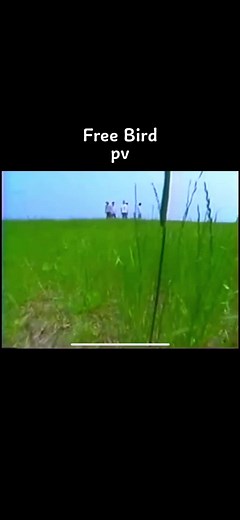 SMAP Free Bird PV and Lyrics Videos Compilation