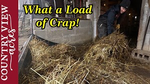 50K views · 2.2K reactions | This the Dirtiest the Bank Barn has Ever...