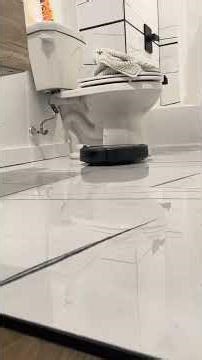 Second video to the first #Roomba#Porcelain Tiles#Health#Travel#Go Viral